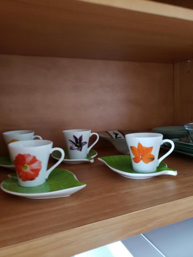 Apartamento Moderno Oca Moema São Paulo